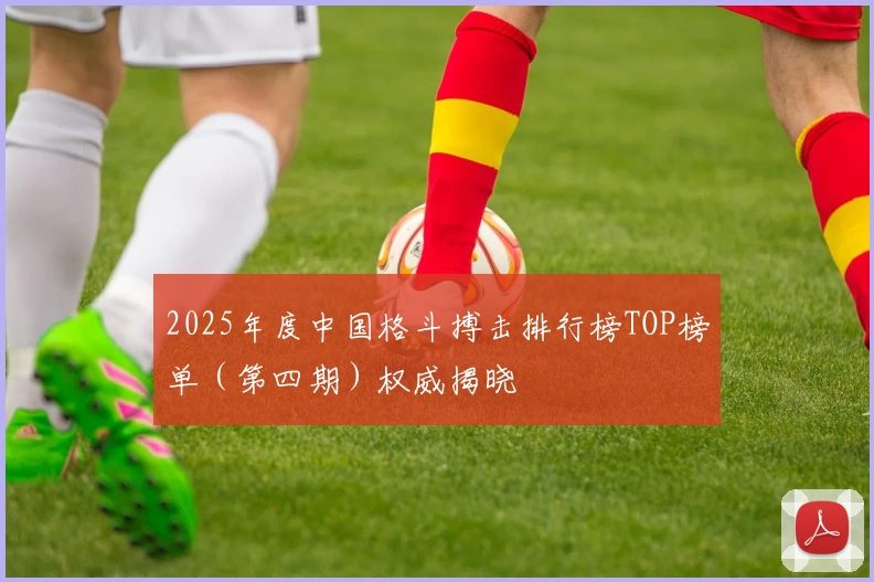 2025年度中国格斗搏击排行榜TOP榜单(第四期)权威揭晓