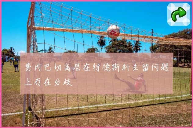 费内巴切高层在特德斯科去留问题上存在分歧