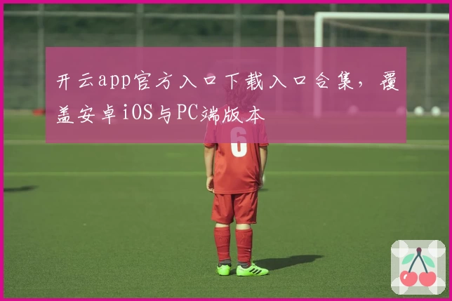 开云app官方入口下载入口合集，覆盖安卓iOS与PC端版本